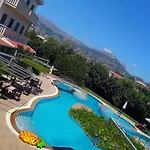 President 5* Solin
