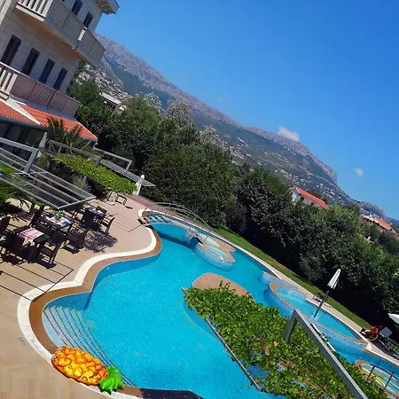 President 5* Solin