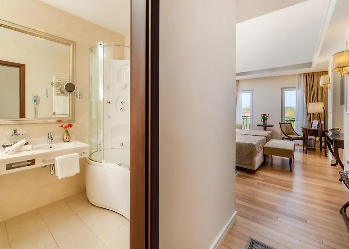 索林总统酒店 酒店 索林